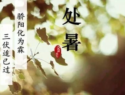 【道教养生】处暑：护“神厥”，守阳气